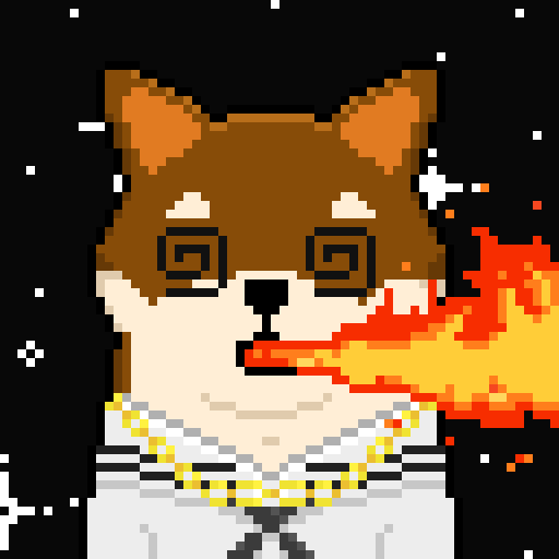 SPACEXSAILOR